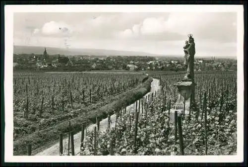 Foto AK - Madonna im Rebenland bei Eltville - Statue der Maria mit dem Jesuskind