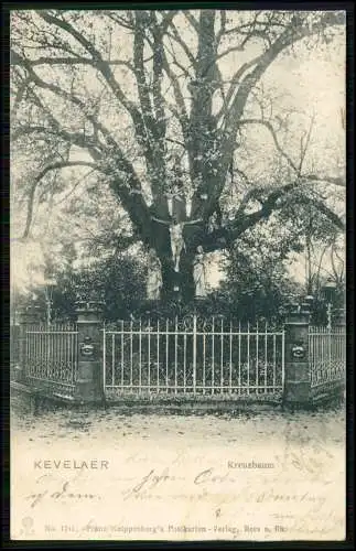AK - Kevelaer am Niederrhein - Kreuzbaum - 1904 gelaufen