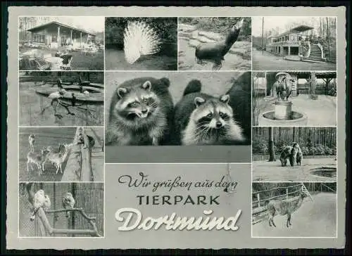 AK - Dortmund zoologischer Garten - wurde 1953 als Tierpark Dortmund eröffnet