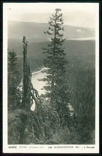 Echt Foto AK Plešné jezero Plöckensteiner See einen Gletschersee im Böhmerwald