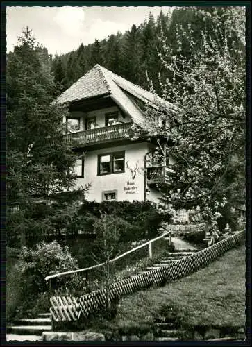 Echt Foto AK - Pension Haus Hubertus - in Menzenschwand St. Blasien Schwarzwald