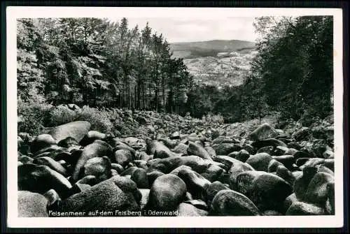 Echt Foto AK - Felsenmeer auf dem Felsberg bei Lautertal-Reichenbach im Odenwald