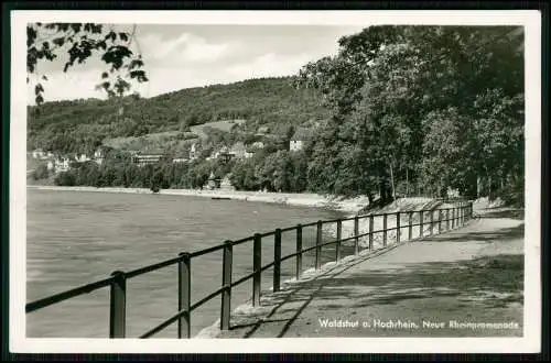 Echt Foto AK - Waldshut am Hochrhein - Uferpromenade entlang des Rheins
