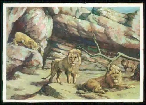 Künstler AK - Hamburg Stellingen, Carl Hagenbeck, Tierpark Löwen - 1932 gelaufen