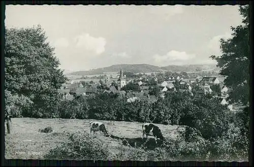 AK -  Horn-Bad Meinberg Kreis Lippe Detmold -  Cekade Cramers Karte