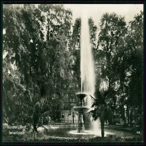 Foto AK - -Münster i. Westfalen - Springbrunnen Servatiiplatz - Palmen und Bäume