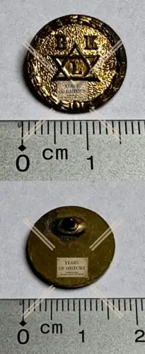 Pin Nadel alt klein BKL mit Davidstern Nadel fehlt