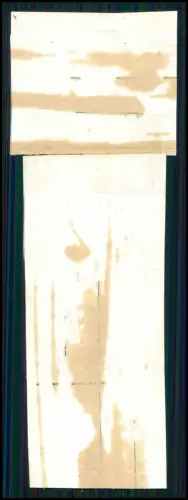 8x Foto 4x3cm - Frauen in Badeanzügen - im Zirkus Tunnel Tigerkäfig zur Manege