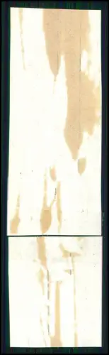 8x Foto 4x3cm - Frauen in Badeanzügen - im Zirkus Tunnel Tigerkäfig zur Manege