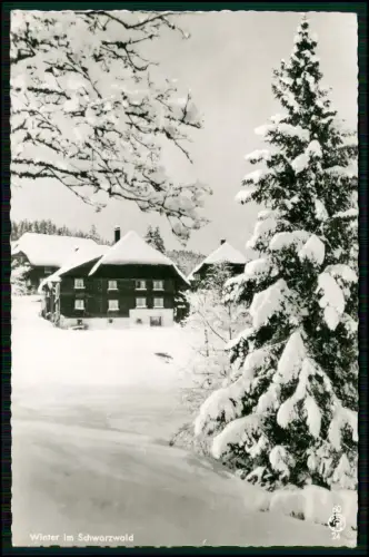 2x Foto AK - Altglashütten Gemeinde Feldberg im Schwarzwald - Winterlandschaft