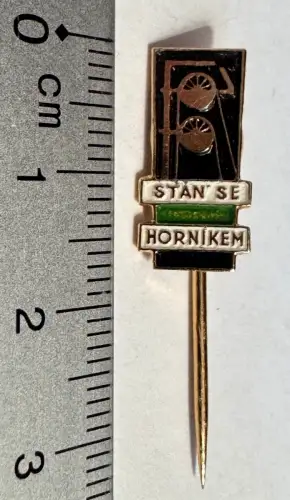 Abzeichen Pin an Nadel - BERGBAU BERGWERKE BERGMANN WERDEN Zeche Recklinghausen