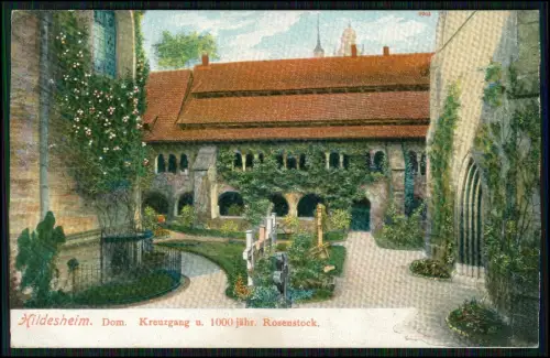 AK Litho Hildesheim Dom-Kreuzgang und 1000-jähriger Rosenstock 1899