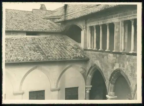 6x alte Foto 18x13cm - Villa Falconieri in Frascati Italien - und andere Rom