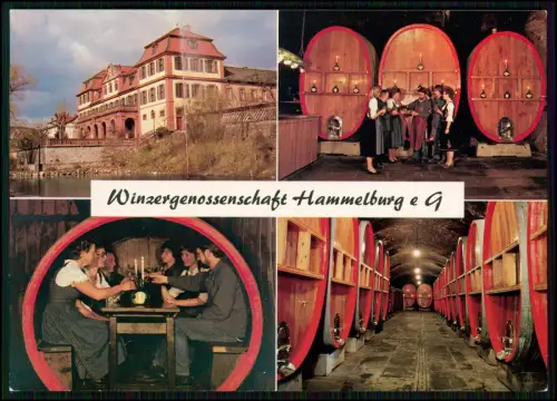 AK - WINZERGENOSSENSCHAFT HAMMELBURG - Kellereianlagen und Verkauf -Kirchgasse 4