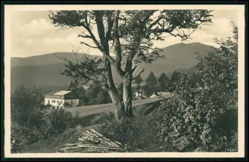 Foto AK - Gasthof Lärchenhof - im Bayerischen Wald - am Großen Arber - 1938 gel.