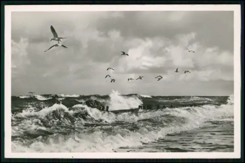 5x alte AK - Norderney Insel in Ostfriesland - diverse Ansichten