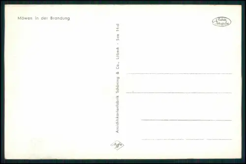 5x alte AK - Norderney Insel in Ostfriesland - diverse Ansichten