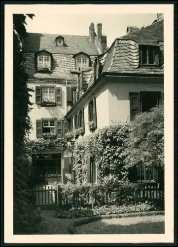 4x alte AK - Bonn am Rhein - diverse Ansichten