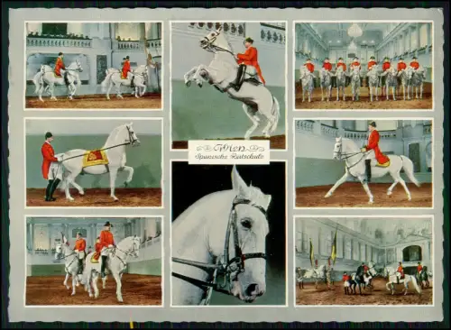 AK - Spanische Hofreitschule in Wien - klassische Reitkunst - Lipizzaner Sprünge
