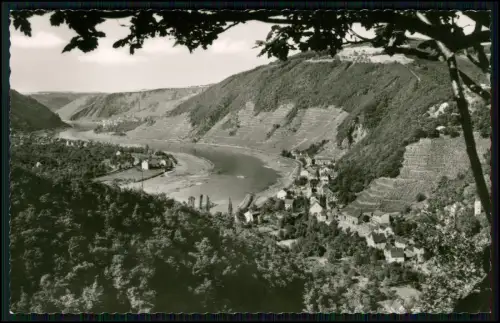 2x Echt Foto AK - Brodenbach an Mosel - Moseltal Weinberge und bewaldete Hänge