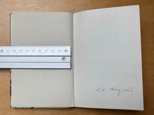 Mike Schlapphut - von C. C. Bergius - Cover mit Flugzeug Silhouetten - 126 Seite