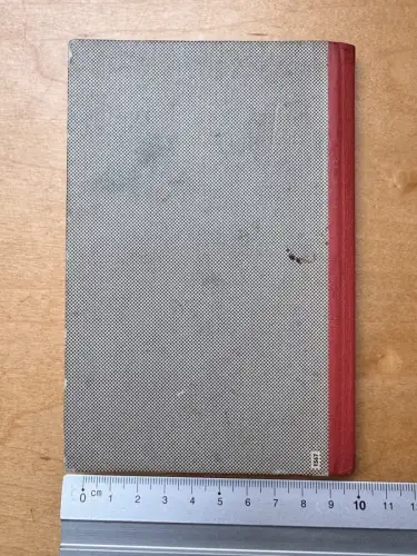 Mike Schlapphut - von C. C. Bergius - Cover mit Flugzeug Silhouetten - 126 Seite