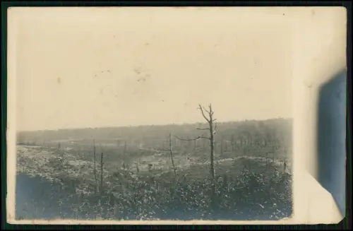 Foto AK 1. WK - zerbombtes Waldgelände bei Verdun 1917 - französischen Stellung