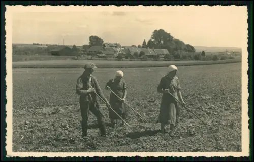 4x Foto AK - Bäuerliche Feldarbeit Personen hacken auf einem Acker im Dorfumfeld
