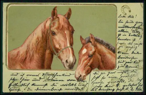 Präge AK Zwei braune Pferdeköpfe - ein ausgewachsenes Pferd mit Fohlen 1904 gel.