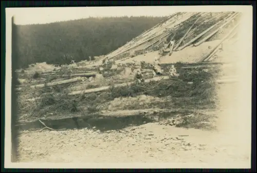 Foto 14x10cm - Langenthal Waldleiningen Pfalz - gefällte Bäume am Hang 1926