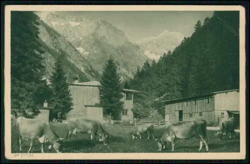 AK - Im Oytal bei Oberstdorf - Kühe grasen vor Almhütte u. Berge - 1924 gelaufen