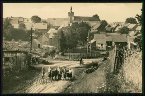 6x Echt Foto AK - Hasselfelde im Oberharz am Brocken - diverse Ansichten
