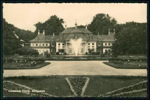 4x Echt Foto AK - Dresden Pillnitz Elbe Lustschloss - verschiedene Ansichten