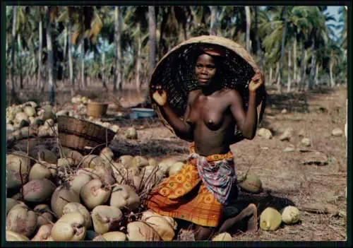 Foto AK - Afrika Frau bei Kokosnuss Ernte unter Palmen ein Moment harter Arbeit