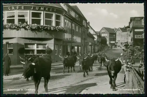 6x Foto AK - Braunlage Harz - Rinderherde zieht durch Straßen - Café Junker u.a.