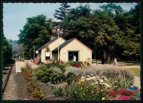 7x Foto AK - Bad Lauterberg im Harz - im Niedersachsen - diverse Ansichten