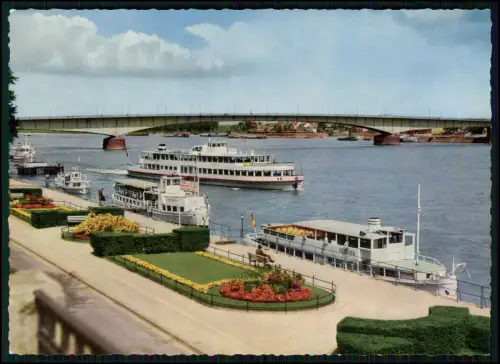 AK - Bonn Rheinpromenade mit blumengeschmückte Anlagen - Anleger Ausflugsschiffe
