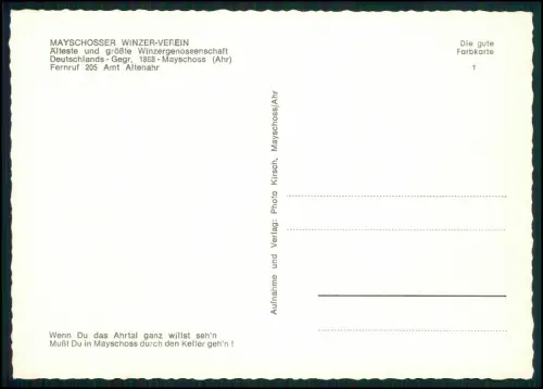 AK - Mayschosser Winzer-Verein Weinkeller - mächtige Fässer seit 1868 im Ahrtal