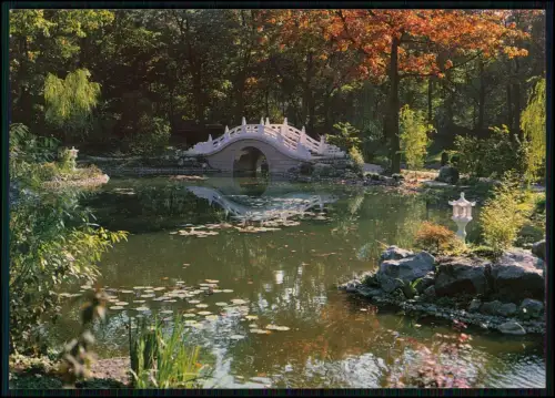 AK - Zoo Duisburg Tierpark - Chinesischer Garten mit Brücke Teich Oase der Ruhe