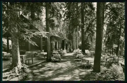 Foto AK - Wald-Café Kläger -Freudenstadt Teuchelwald - Außen mit Waldterrasse