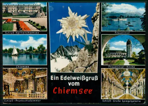 AK - Chiemsee Schloss Herrenchiemsee - Echtes Edelweiß hinter Folie verschweißt