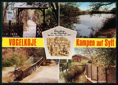 AK - Kampen auf Sylt – Vogelkoje mit Ententeich Eingang Fangkanal und Fangpfeife