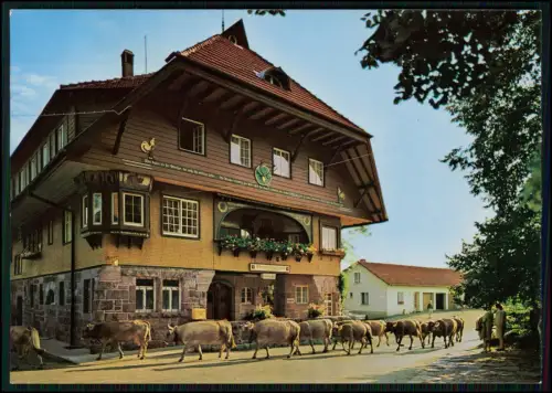 2x AK - Freudenstadt - Schwarzwald-Gasthof Adrionshof - Kühe ziehen vorbei u.a.