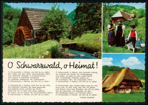 2x AK - Wassermühle - Trachtengruppe und Schwarzwaldhof - O Schwarzwald o Heimat