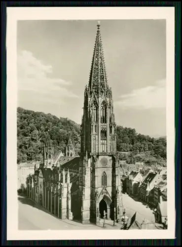 12x Foto - Freiburger Münster - Gotische Pracht Wahrzeichen der Stadt Ansichten