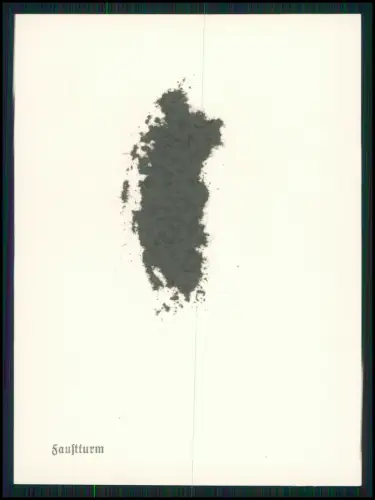 12x Foto - Kloster Maulbronn im Enzkreis, Baden-Württemberg - Innen Außen - 1936