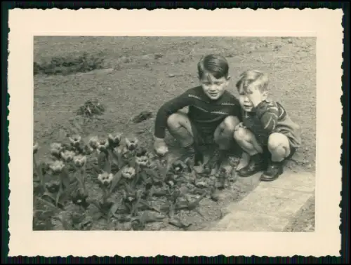 9x Foto 11x8cm- Koblenz Asterstein - Plateau Pfaffendorfer Höhe nahe Rhein 1944