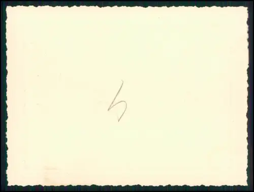 9x Foto 11x8cm- Koblenz Asterstein - Plateau Pfaffendorfer Höhe nahe Rhein 1944