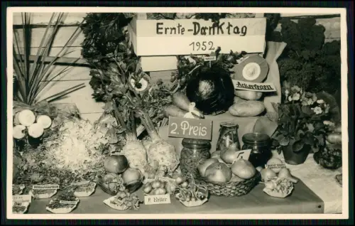5x Foto AK - Ernte Danktag 1952 - in Fritzlar Schwalm-Eder - Gemüseausstellung