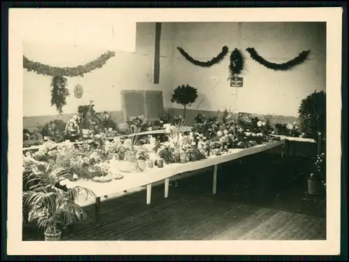 5x Foto AK - Ernte Danktag 1952 - in Fritzlar Schwalm-Eder - Gemüseausstellung
